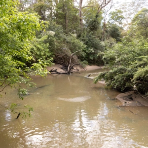 Flowing Stream