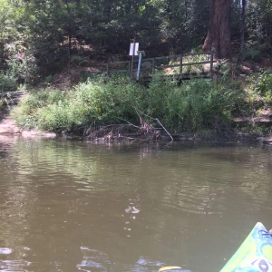 Canoeing Turrumburra River