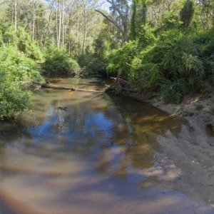 Brown's Waterhole Panorama