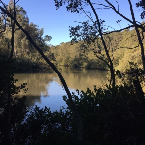 Saltwater Country: Turrumburra River