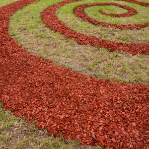 Spiral from the Heart