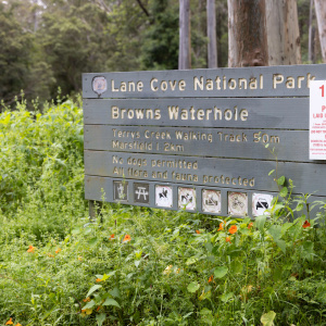 Brown's Waterhole Signage