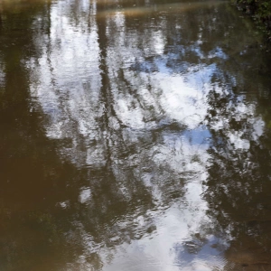 Reflections
