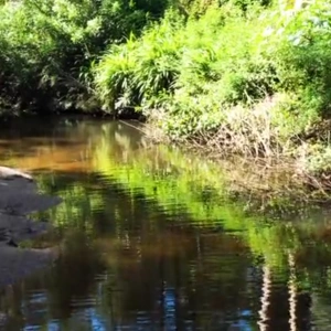 Welcome to Brown's Waterhole
