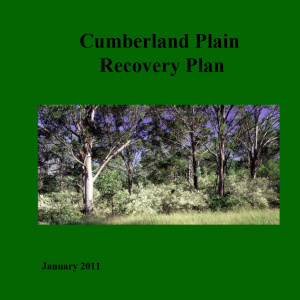 Cumberland Plain Recovery Plan