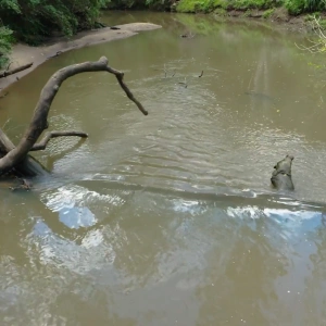 Browns Waterhole: Drone Footage