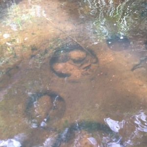 Ancestors Place