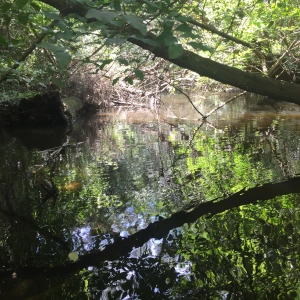 Side Creek