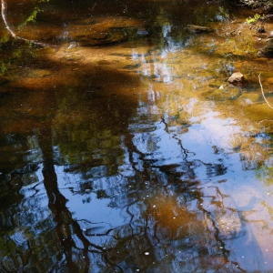 Brown's Waterhole